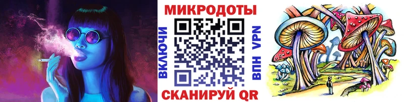 Купить  Княгинино  Псилоцибиновые грибы Cubensis 